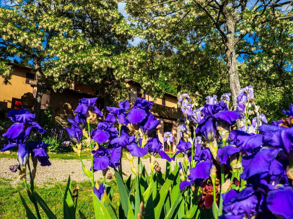 바뇨아리폴리 Agriturismo Verde Oliva 빌라 외부 사진